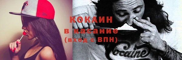 шишки Балабаново