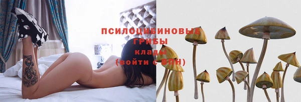 прущие крисы Баксан