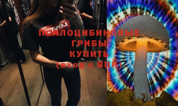 шишки Балабаново