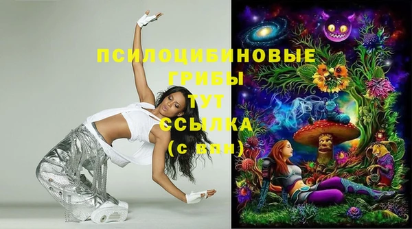 шишки Балабаново