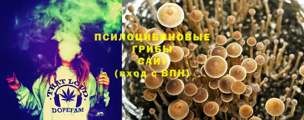 прущие крисы Баксан