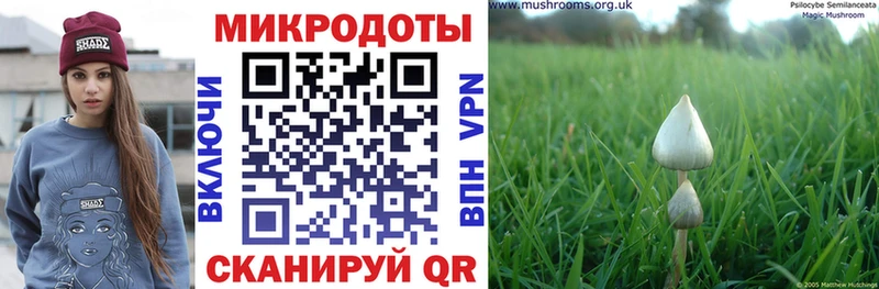 Псилоцибиновые грибы Cubensis  Слюдянка 